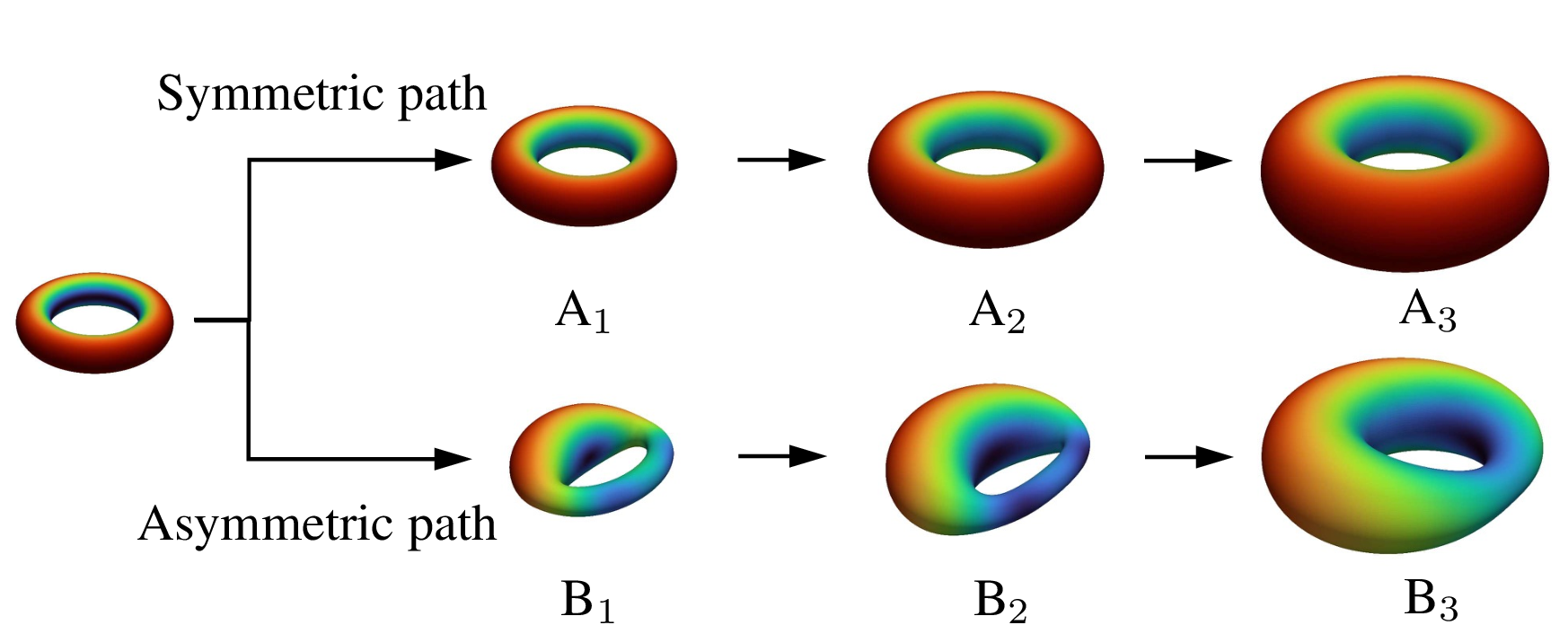 fig: b