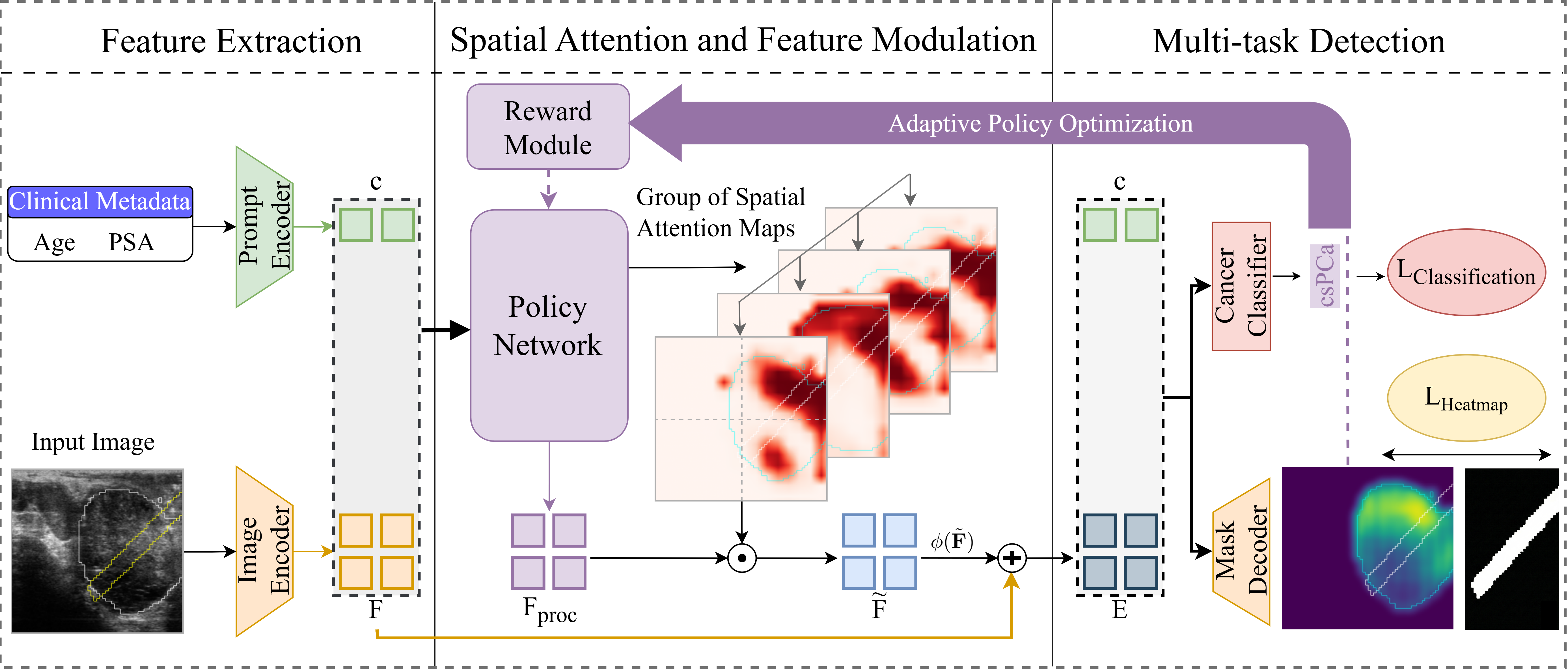 Figure 1: Prost-RL overview. Image and clinical prompt encoders produce features F and embedding c. A spatial policy \pi_\theta generates an attention map \alpha that modulates F into shared embeddings E, decoded by a heatmap head and a csPCa classifier.
