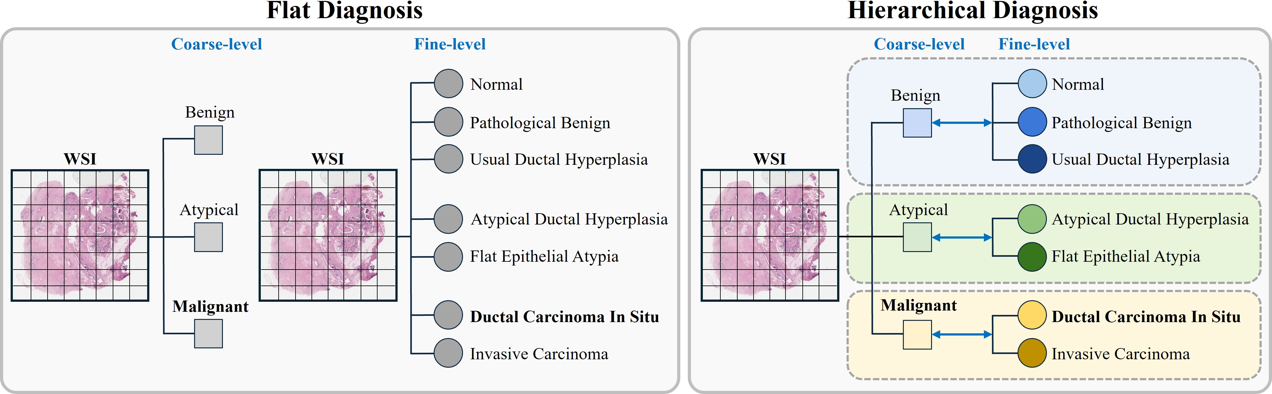 Figure 1: Flat vs. hierarchical WSI analysis. Flat classification treats labels as independent categories, ignoring clinical relationships. Hierarchical classification models the coarse-to-fine taxonomy, ensuring parent–child consistency across diagnostic levels.