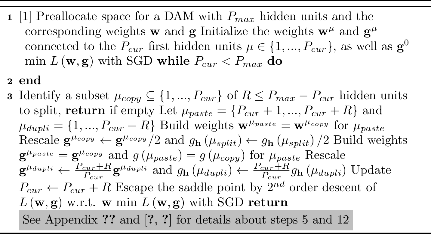 Figure 48: Rescaled splitting steepest descent wu2019splitting?, wang2019energy?