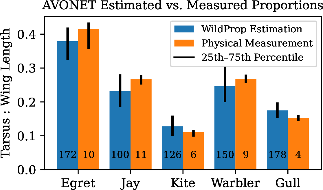 Figure 4: Tarsus:Wing-length ratio medians and quartiles across AVONET species. Sample sizes for both WildProp estimations and physical measurements are indicated at the base of each bar.