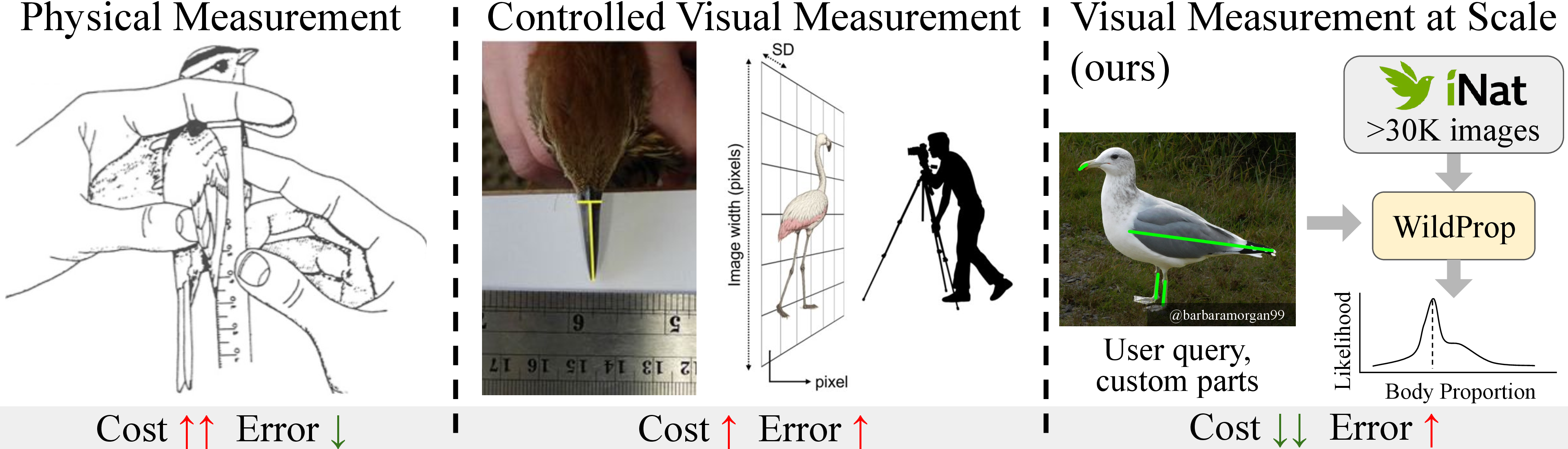 Figure 2: Morphometry paradigms. The choice between the measurement method is driven by a tradeoff between measurement costs and estimation errors.