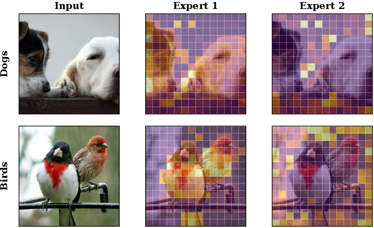 Figure 1: Expert dispatch-weight visualization. Per-patch dispatch weights from a trained 2-expert ExPLoRe model overlaid on input images (warm = high weight, cool = low weight). The two experts learn complementary spatial specialization without explicit supervision: one expert assigns higher loss emphasis to foreground regions while the other focuses on background and context.
