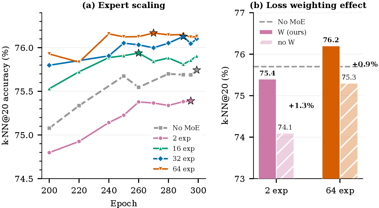 Figure 3: Expert scaling and mechanism isolation (Token+CLS). (a) k-NN@20 trajectories over epochs 200–300 for No MoE and 2/16/32/64-expert configurations (all with dispatch-weight loss weighting). Stars mark peak accuracy per configuration; more experts yield higher final accuracy. (b) Mechanism isolation: weighted (W) vs.unweighted (no W) at 2 and 64 experts. Dispatch-weight loss weighting contributes +1.3% at 2 experts and +0.9% at 64 experts at matched parameter counts, confirming the mechanism’s effect beyond the parameter contribution.
