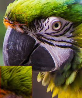 i