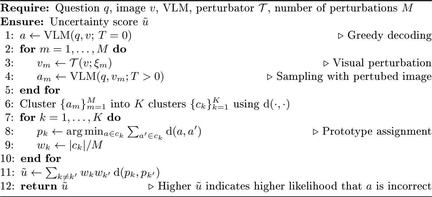 Figure 8: Visual Semantic Entropy (VSE)