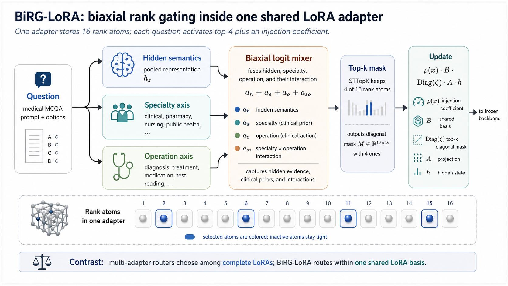 Figure 1: BiRG-LoRA uses one shared LoRA basis and dynamically selects rank atoms. The gate combines hidden semantics, a specialty/profession axis, a clinical-operation axis, and their interaction. The selected top-k diagonal mask and injection coefficient decide which rank atoms are active and how strongly the adapter modifies the frozen backbone.