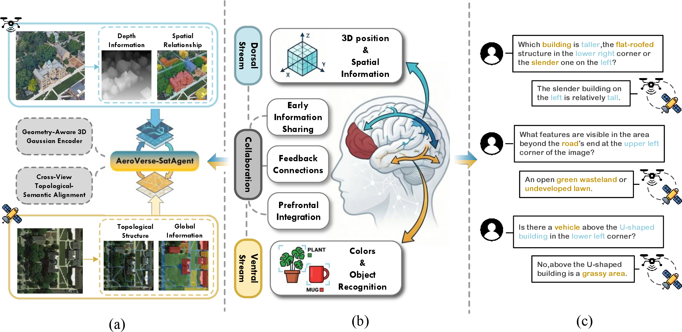Figure 2: (a) SatAgent jointly leverages the satellite perspective (global semantic priors) and UAV perspective (local geometric depth) via functionally complementary dual-branch processing. (b) The human dual visual pathway: the ventral pathway handles semantic understanding; the dorsal pathway handles spatial geometry; the two interact bidirectionally. (c) Representative SatAgent-SR130K VQA examples requiring UAV-Satellite collaboration for correct spatial inference.