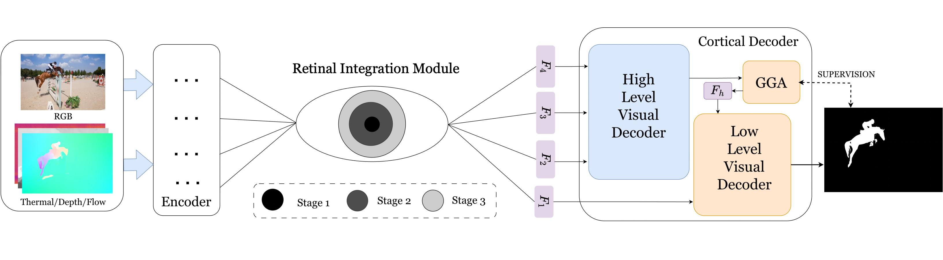 Figure 2: Overall architecture of the proposed HVPNet for general SOD and COD tasks. It consists of three stages: feature extraction, fusion, and cortical decoding (high-level visual decoding, low-level visual decoding).