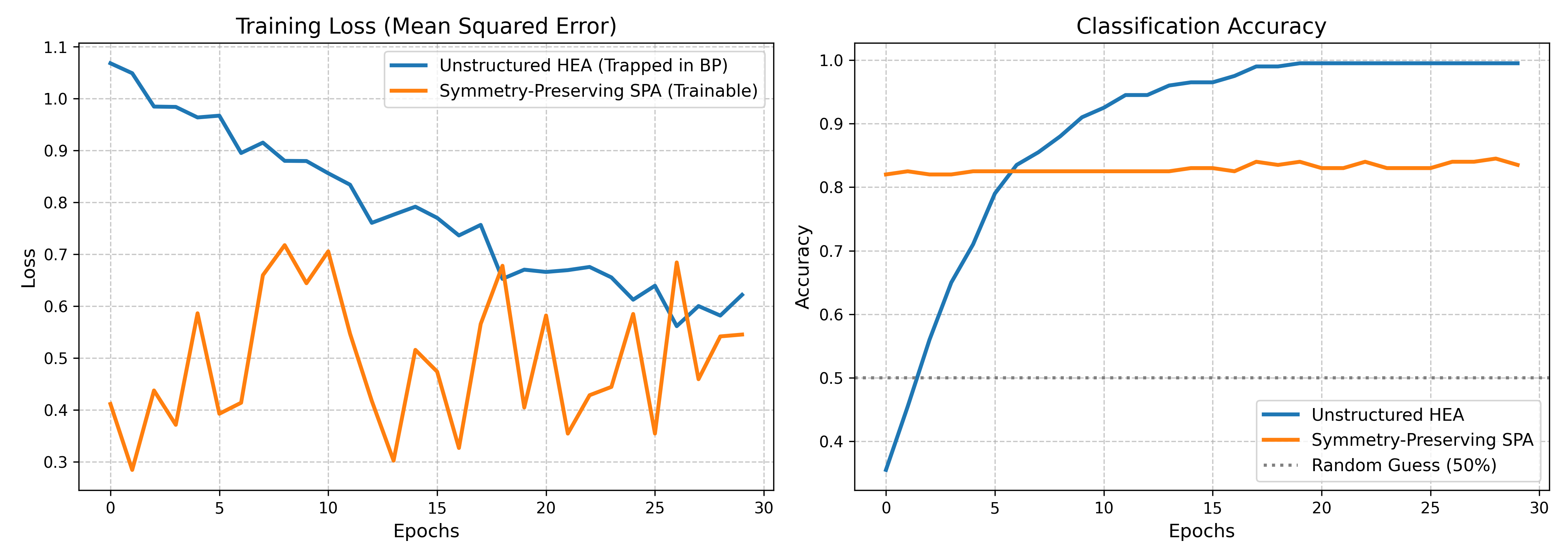 Figure 3: Training dynamics on the Make Moons classification task (n=8). Left: Mean Squared Error Loss. Right: Classification Accuracy. The overparameterized HEA achieves near-perfect accuracy on the training set (quantum overfitting), while the constrained SPA acts as a geometric regularizer, ensuring robust generalization properties.