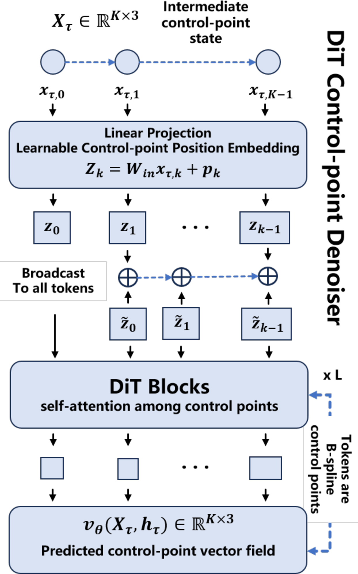Figure 4: DiT-based control-point flow generation. The condition encoder fuses visual context, the local target, and flow time into a global condition \mathbf{h}_{\tau}. The intermediate control-point state \mathbf{X}_{\tau} is embedded as B-spline control-point tokens with learnable positional encodings, processed by DiT blocks, and mapped to the vector field \mathbf{v}_{\theta}(\mathbf{X}_{\tau},\mathbf{h}_{\tau}). Flow-matching training supervises the field from Gaussian noise to pseudo control-point labels, while inference performs Euler sampling in control-point space and decodes the final control points with the B-spline basis.