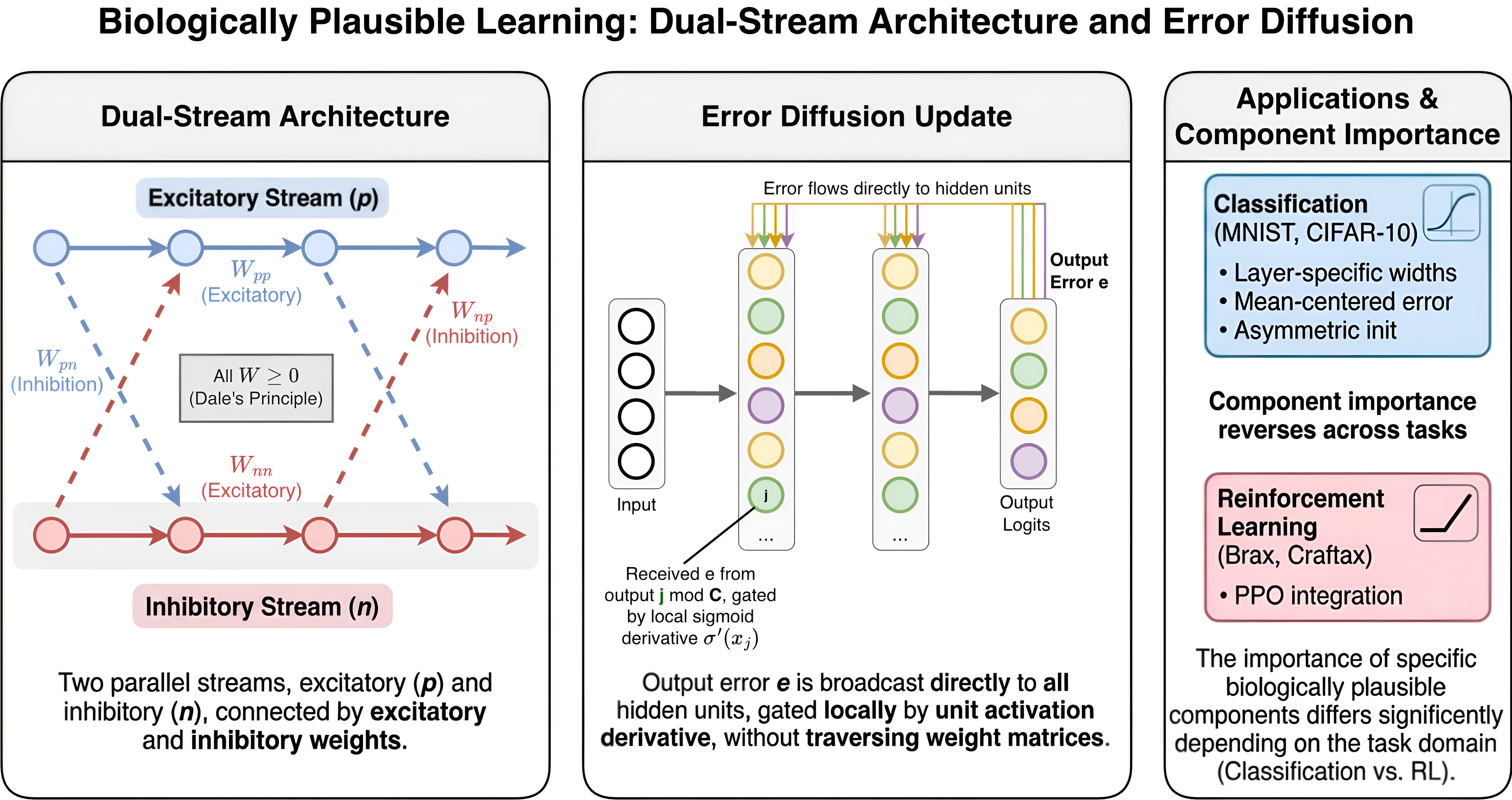 Figure 1: Overview of the dual-stream Error Diffusion framework. Left: The excitatory/inhibitory architecture maintains separate streams (\mathbf{p}, \mathbf{n}) with four non-negative weight matrices per layer, enforcing Dale’s principle structurally. Center: The Error Diffusion update broadcasts output error directly to hidden layers without weight transport or random feedback matrices. Right: The shared architecture is applied to classification (with domain-specific sigmoid widths, batch-centered class error, and asymmetric initialization) and reinforcement learning (with PPO integration).