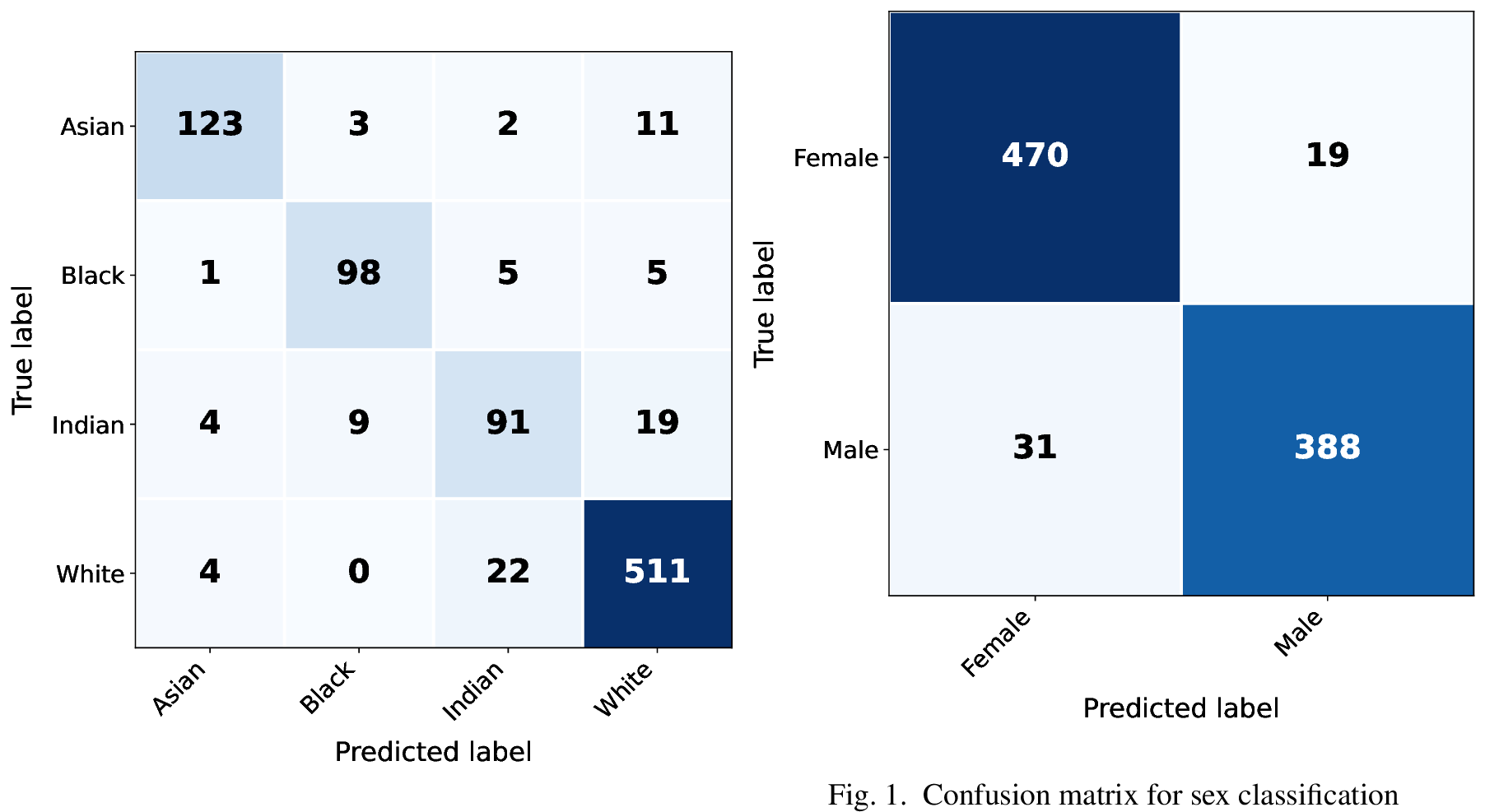 Figure 2: Confusion matrix for ethnicity classification