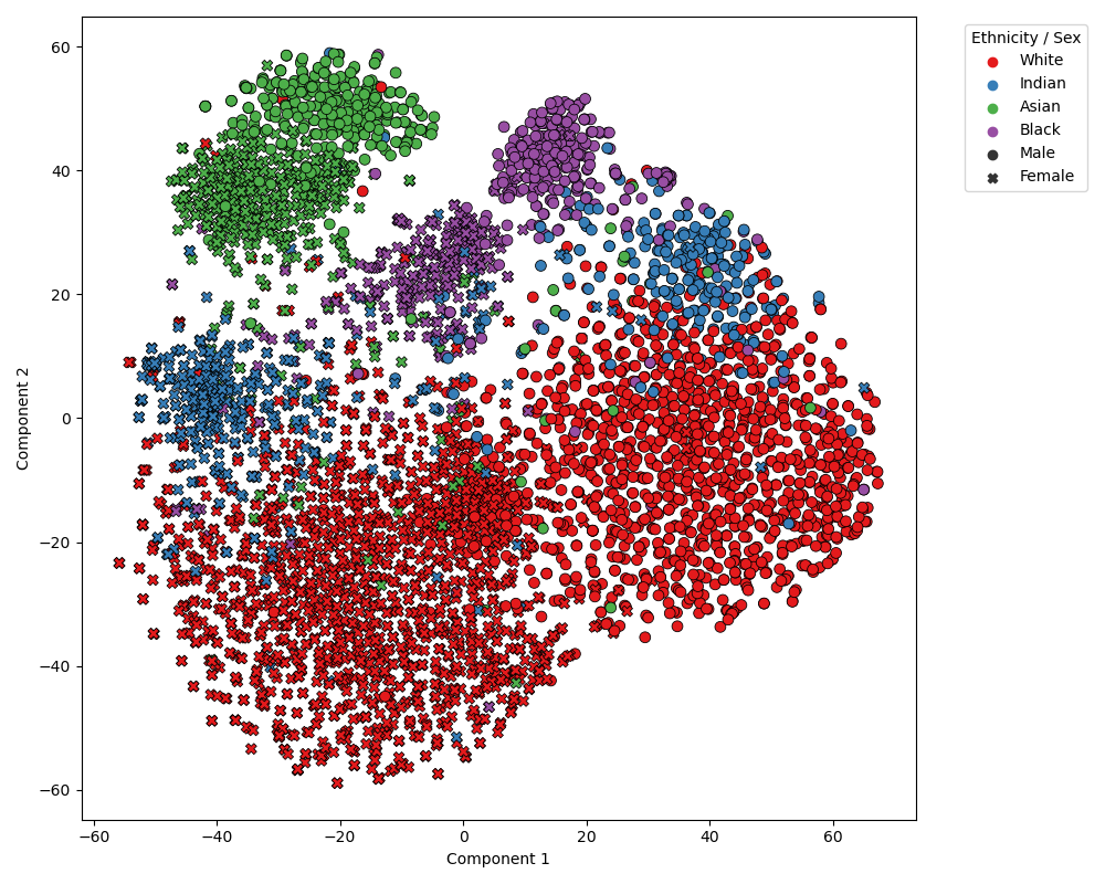 Figure 3: t-SNE representation of the annotated images