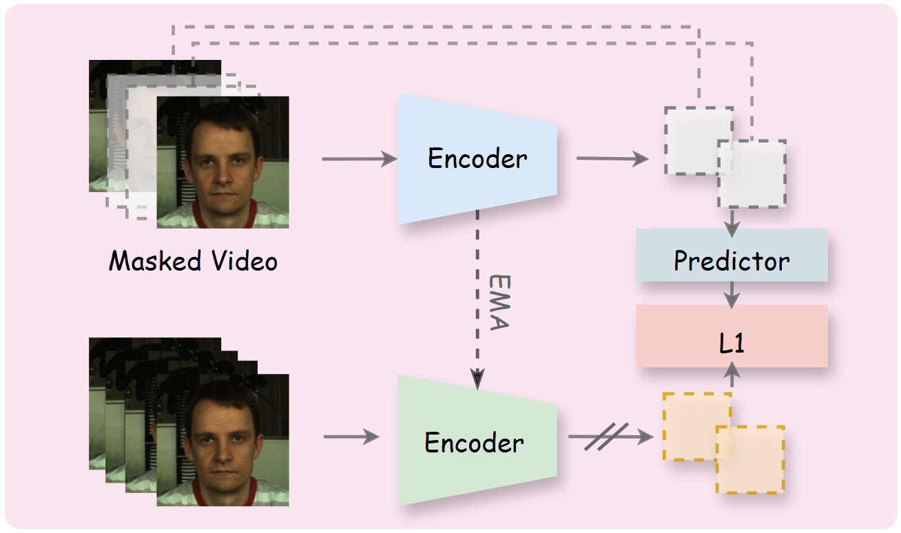 Figure 1: Stage I: Given a masked facial video, the student encoder and predictor estimate latent targets generated by an EMA teacher encoder from the original video. The model is optimized in the embedding space, avoiding direct pixel reconstruction and encouraging physiology-aware representation learning.