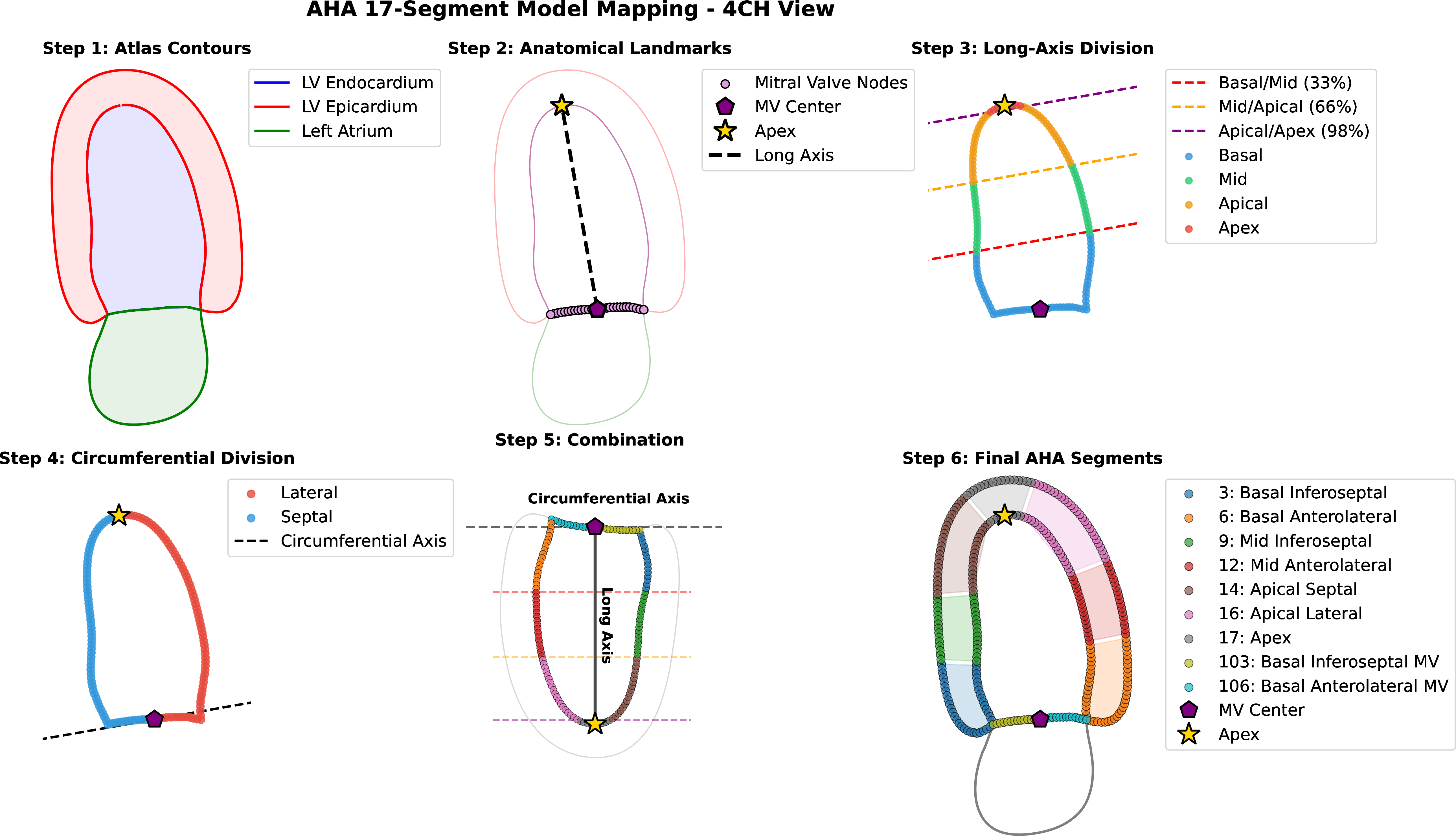 Figure 1: Automatic AHA mapping via implicit correspondence. Step-by-step procedure for the apical 4-chamber view: (1) population atlas generation at ED; (2) anatomical landmark identification and long axis definition; (3) long-axis division into basal (0–33%), mid (33–66%), and apical (66–98%) levels; (4) circumferential bisection; (5) combined classification; and (6) final AHA segment assignments. The 2-chamber view follows an identical procedure to map its respective anterior and inferior segments.
