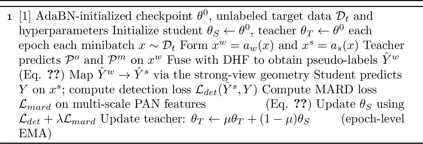 Figure 4: Proposed Real-time SFOD.