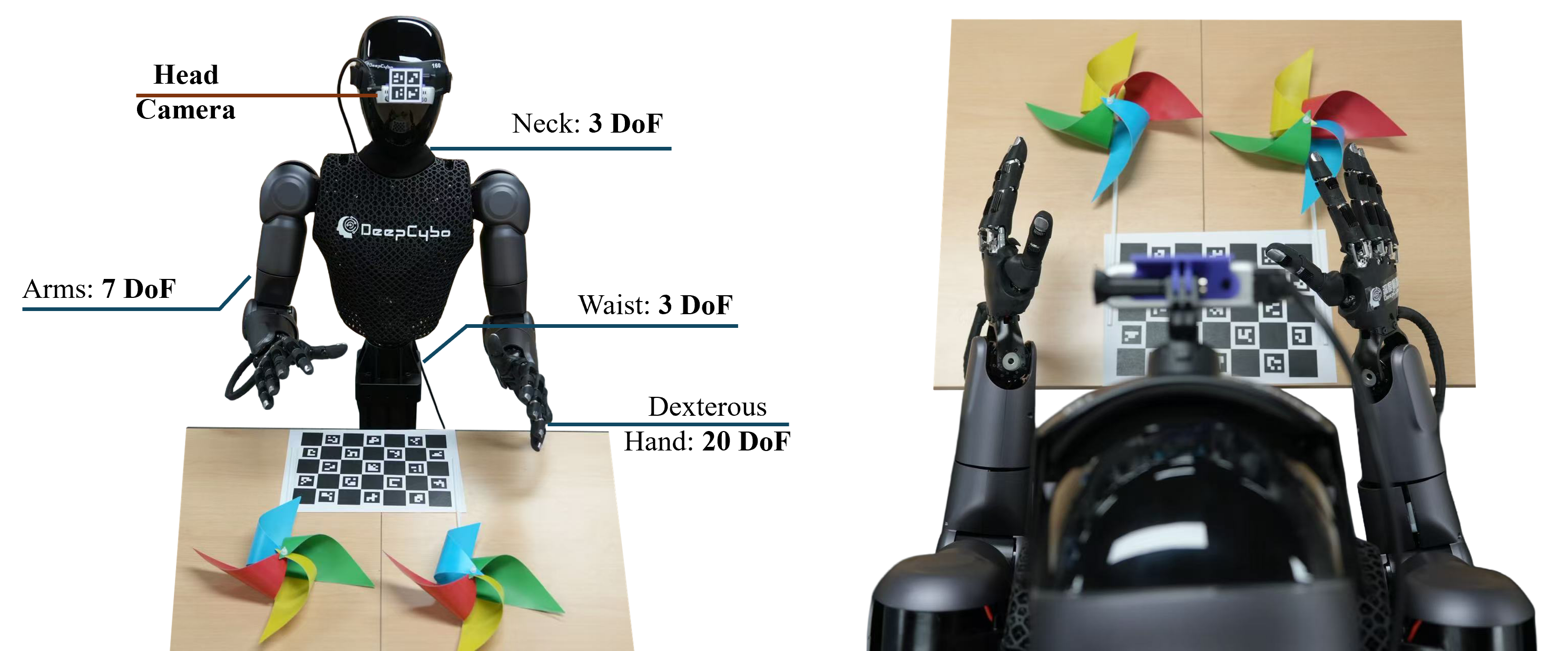 Figure 2: PrimeU human-aligned humanoid embodiment. The upper body is developed in-house and is designed around adult-male manipulation scale, with two 7-DoF arms, a 3-DoF neck, and a 3-DoF waist. The platform uses two 20-DoF Wuji dexterous hands for fine manipulation. Head-view and wrist-view cameras are Intel RealSense D435 cameras, matching the viewpoint structure used by the deployed VLA policy.