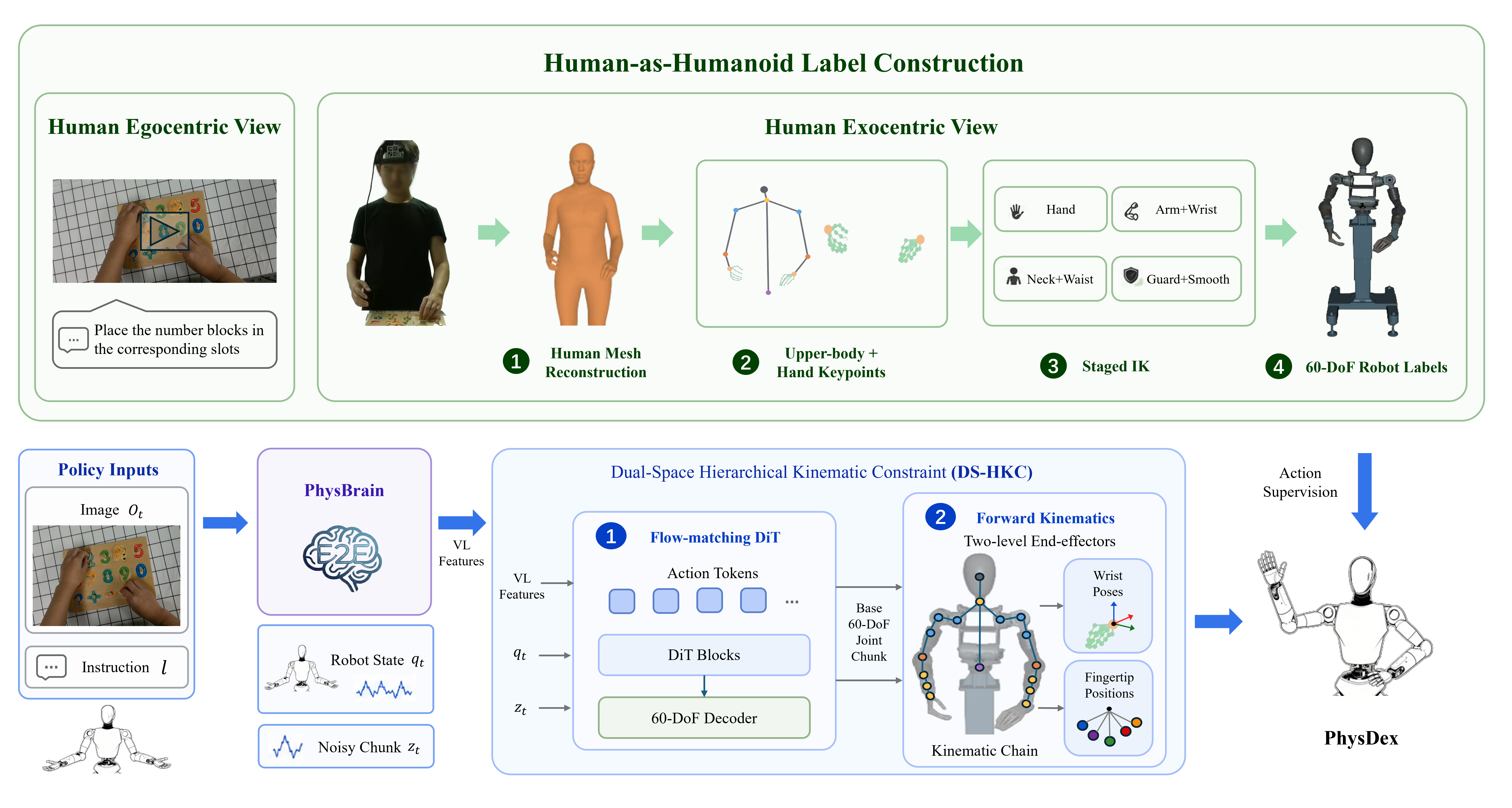 Figure 3: Overview of the PhysDex learning pipeline. (Top) Synchronized human ego-exo videos are converted into controller-aligned 60-DoF robot action labels: egocentric views provide deployment-aligned policy observations, exocentric views support human mesh and upper-body/hand keypoint recovery, and staged IK maps the recovered motion into PrimeU joint chunks. (Bottom) The VLA policy is trained in the same robot action space. Visual-language features, the current robot state, and a noisy action chunk condition a flow-matching DiT, while DS-HKC applies differentiable FK supervision to the predicted joint chunk through wrist poses and fingertip positions.