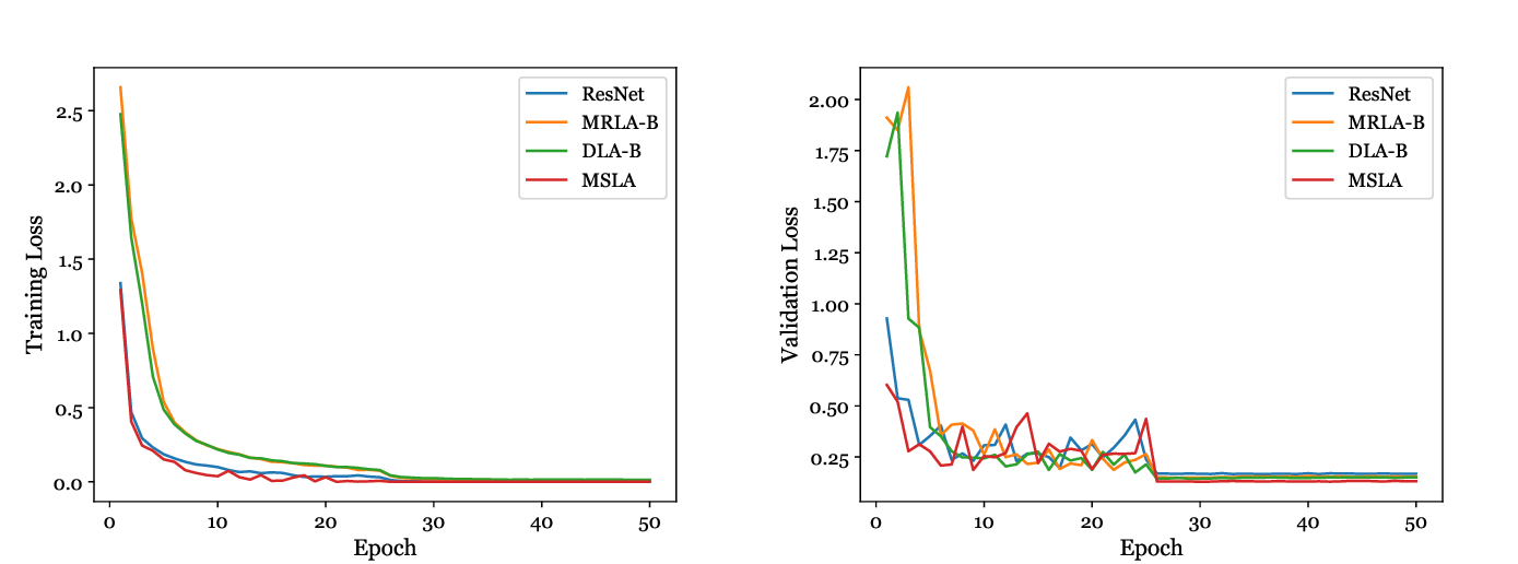 Figure 5: Training and validation loss curves on the Oracle-MNIST dataset for various layer attention methods with ResNet-20 as the backbone.