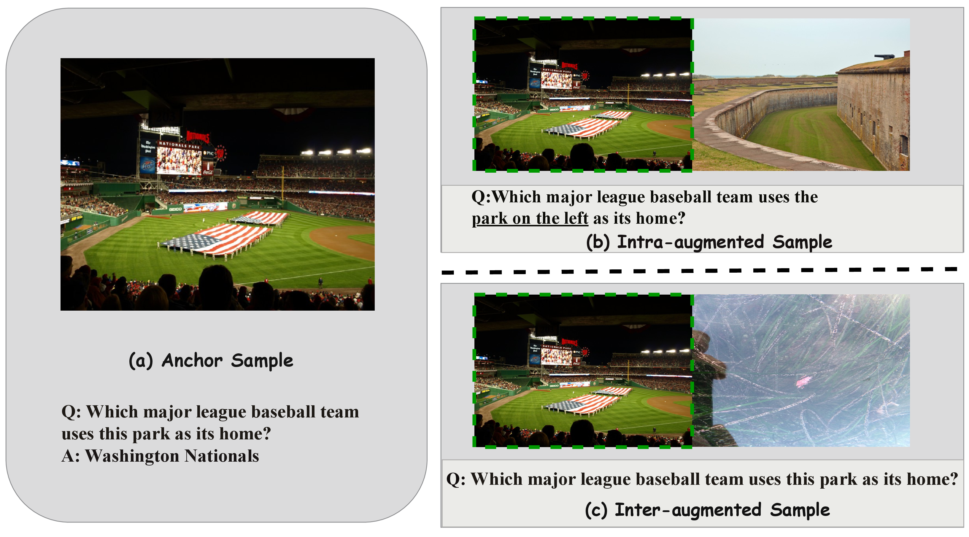 Figure 6: Qualitative example of our augmentation protocols (Section 5) on Nationals Park. All augmented variants keep the anchor answer in (a). (b) Intra-augmentation adds a minimal spatial cue (“on the left”) to preserve the original intent while inserting an additional park image (Fort Macon State Park) on the left. (c) Inter-augmentation inserts a visually distinct distractor (Okenia rosacea) while keeping the question unchanged.