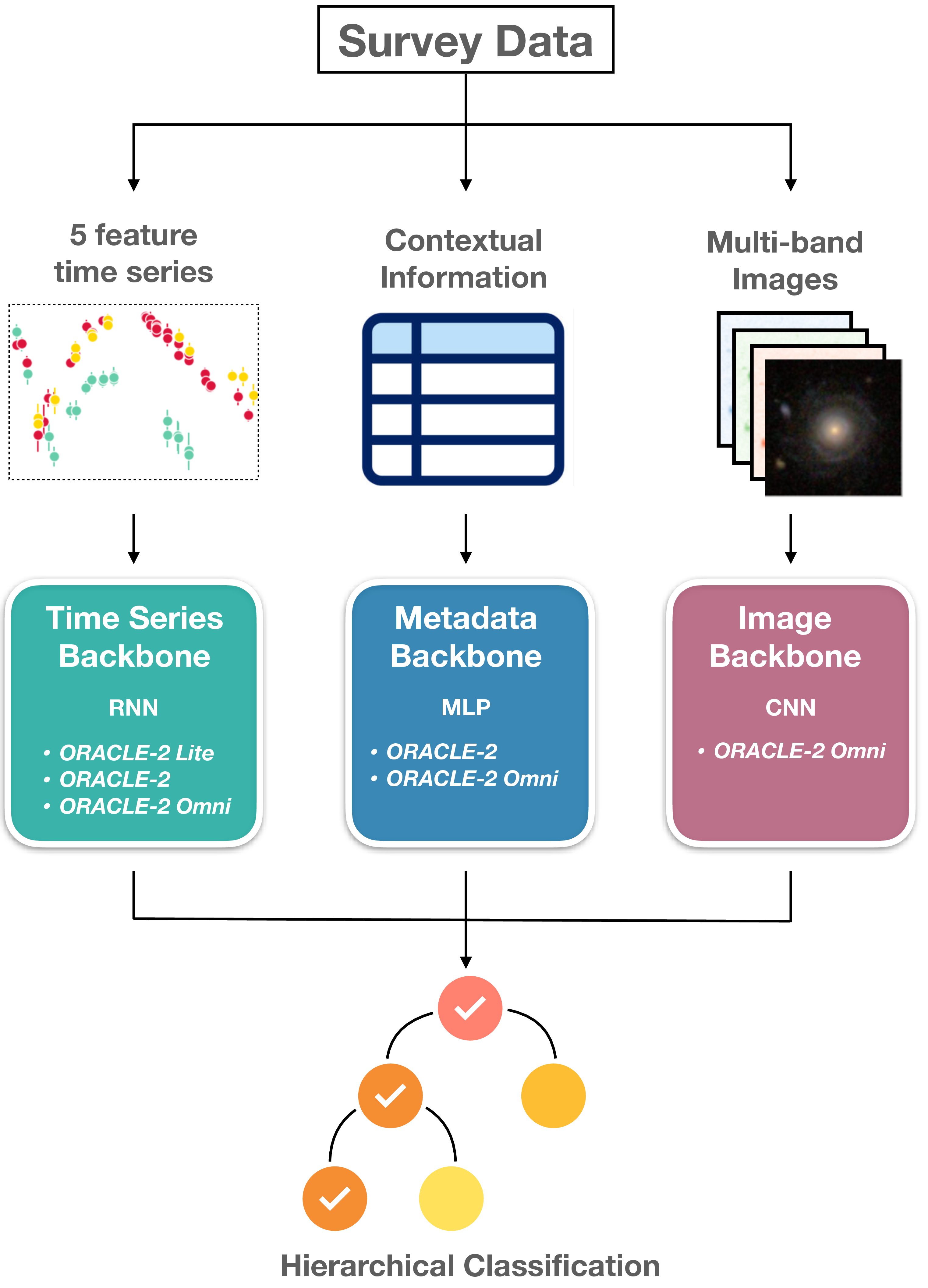 Figure 4: High level overview of the architecture and I/O for the ORACLE-2family of models. The time series backbone uses a recurrent neural network (RNN), the metadata backbone uses a multi-layer perceptron (MLP), and the image backbone uses a convolutional neural network (CNN).