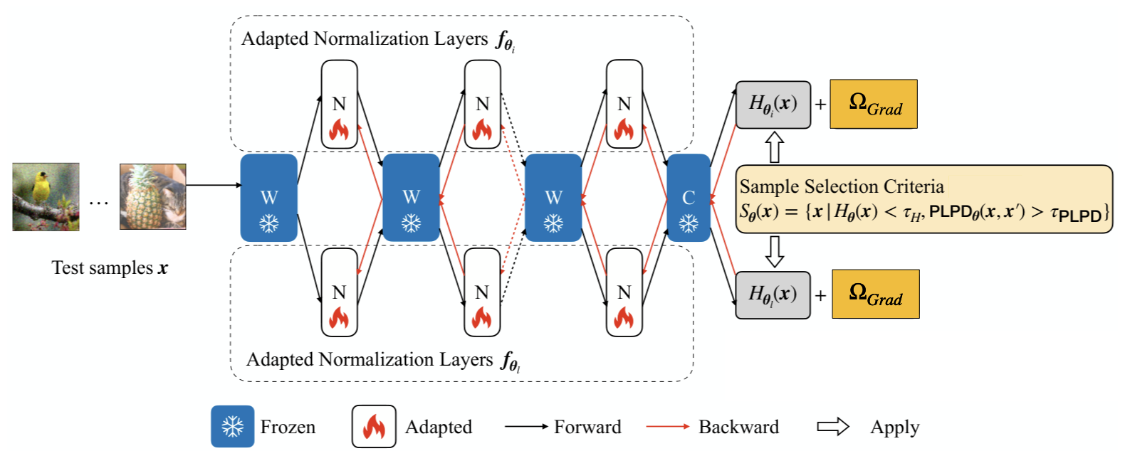 Figure 2: An illustration of the proposed method for the case of gradient diversity diversification. During the adaptation, we only update the normalization layers (N) and keep the rest of layers (W and C) frozen. When a batch of test samples come, we first identify non-harmful ones (see Appendix 9). We only perform backward propagation on selected samples with gradient diversity measure to push normalization layers away from one another.