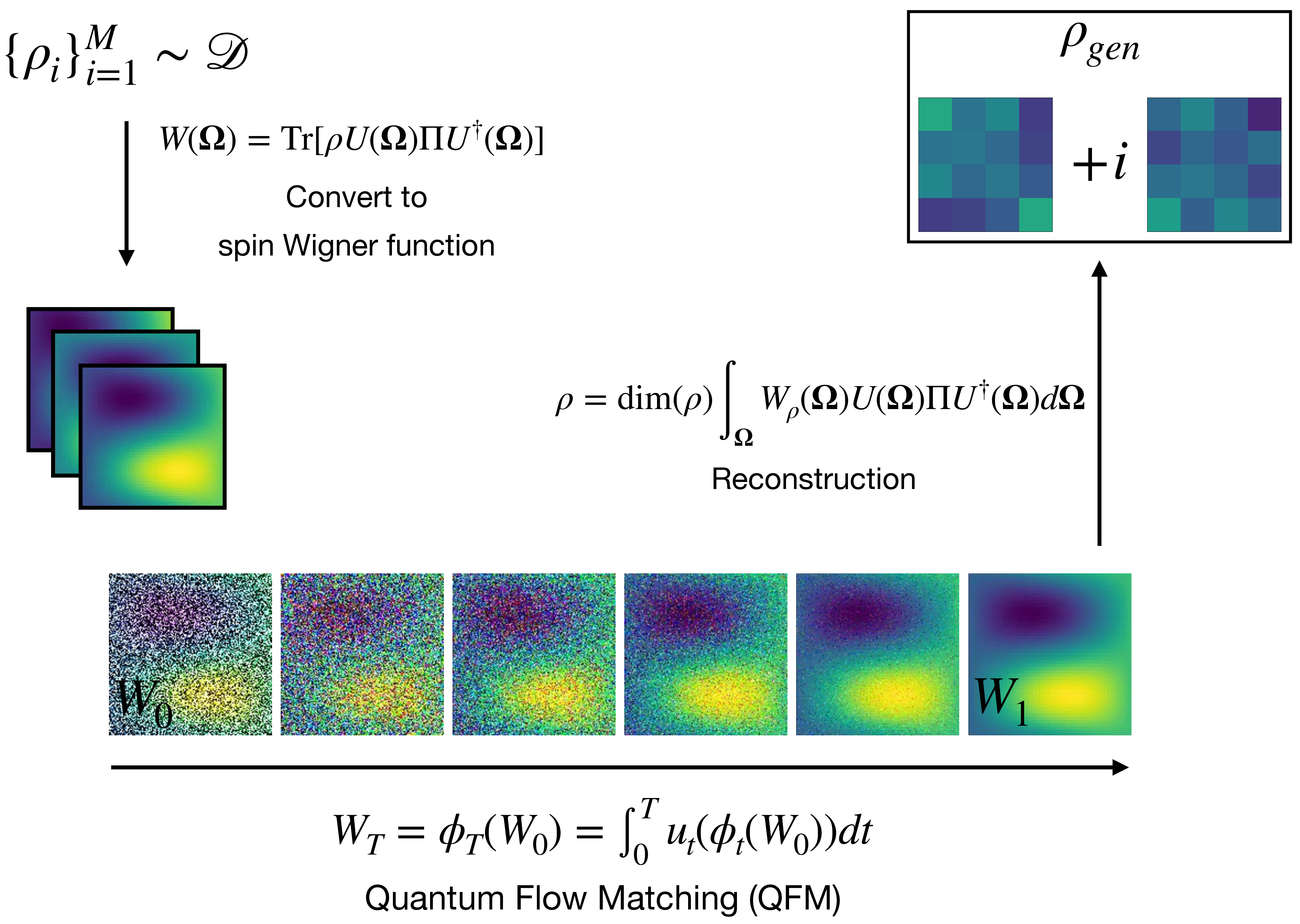 Figure 1: Overall procedure of QFM. We bypass the direct learning of quantum states by converting them into spin Wigner function and learn the underlying distribution. This approach allows us to effectively generate physically valid and accurate quantum states, which was not achievable by direct learning from density matrices.
