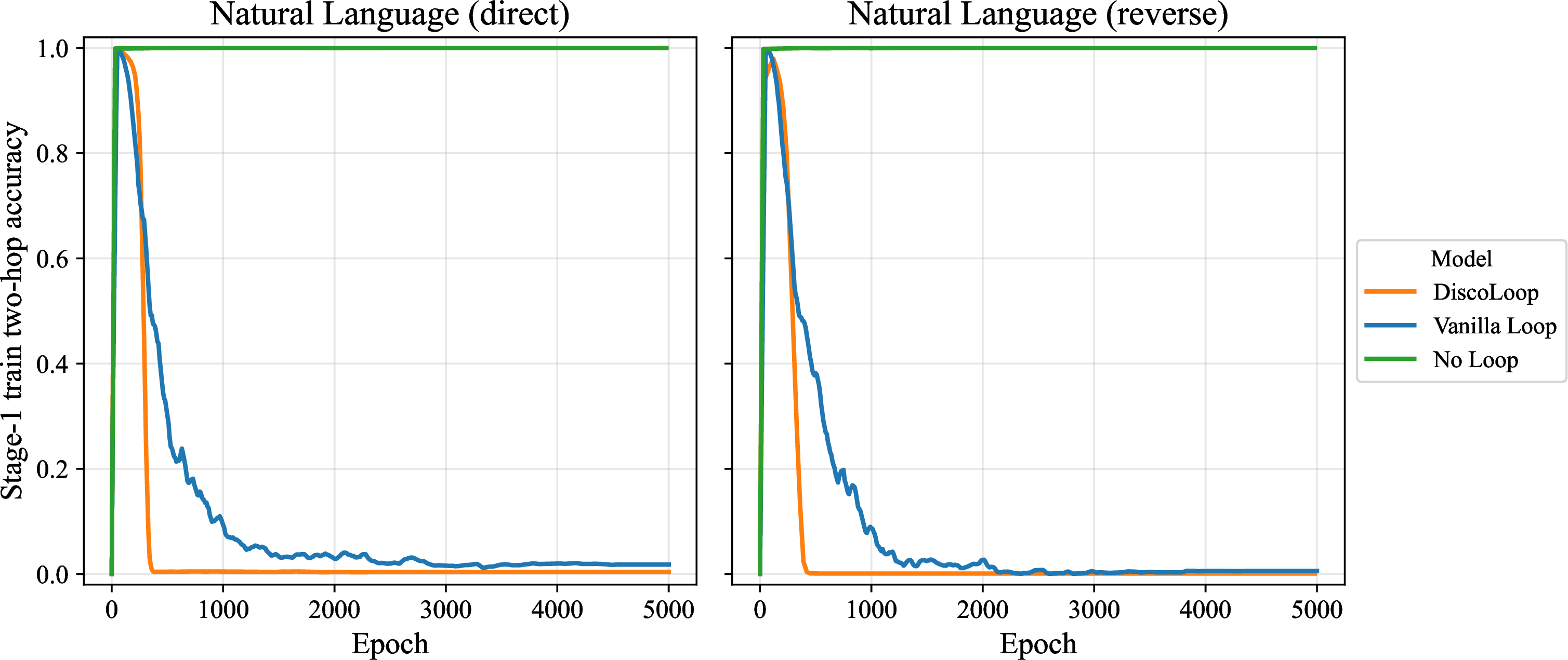 Figure 6: Stage-1 two-hop training accuracy on the two synthetic natural-language datasets (direct and reverse formats), for the non-looped transformer, the vanilla looped transformer, and DiscoLoop. As in the symbolic case, both looped models suppress their Stage-1 training accuracy as composition is offloaded from f_\theta to the looping recurrence; the suppression is markedly sharper for DiscoLoop than for the vanilla looped transformer. The non-looped baseline retains \sim\!100\% throughout, having no second loop to offload composition to.
