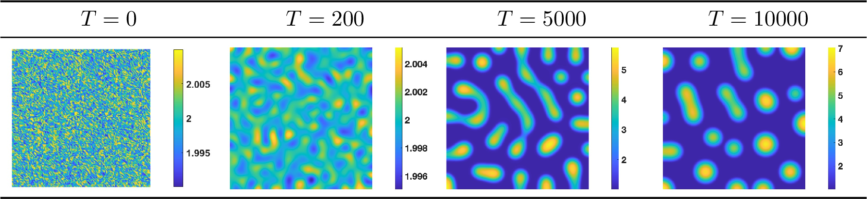 Figure 13: Snapshots of the phase variable \phi for the liquid thin film model at T=0,200, 5000, 10000, computed by the RLM-PC-CN scheme with \alpha=10^{4}.