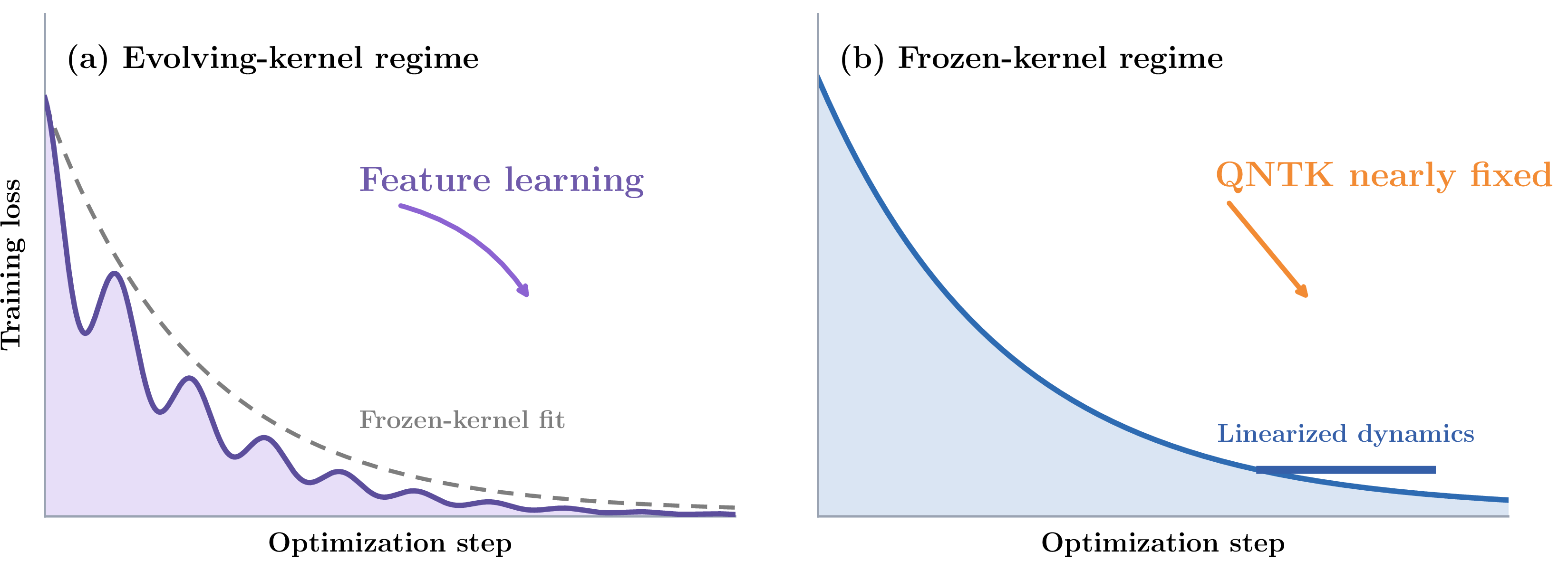 Figure 2: Schematic loss trajectories in two QNTK regimes. Right: in the frozen-kernel regime, the QNTK remains approximately constant during early training, so the loss follows the smooth decay predicted by the linearized tangent-kernel dynamics. Left: when the kernel evolves with the parameters, the training trajectory departs from the frozen-kernel picture; this weakly nonlinear regime enables representation learning and can no longer be captured by a fixed-kernel approximation alone.