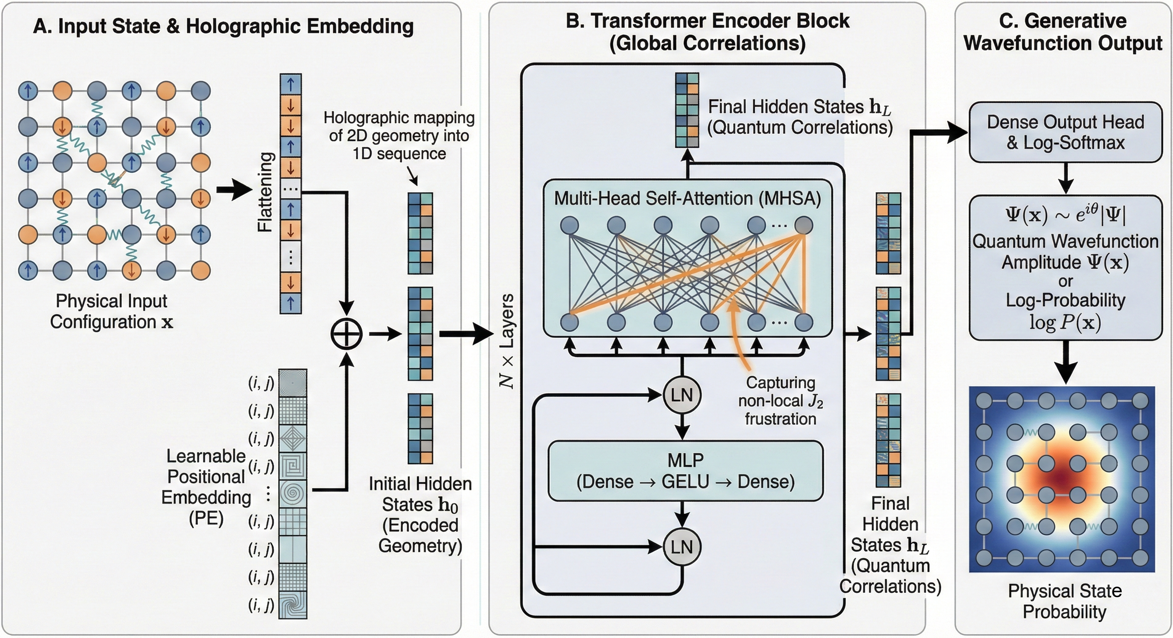 Figure 1: Overview of HQT. (A) Holographic Embedding injects geometry. (B) Quantum Encoder uses global attention to resolve frustration (J_2). (C) Autoregressive Head generates the wavefunction \Psi(\mathbf{x}).
