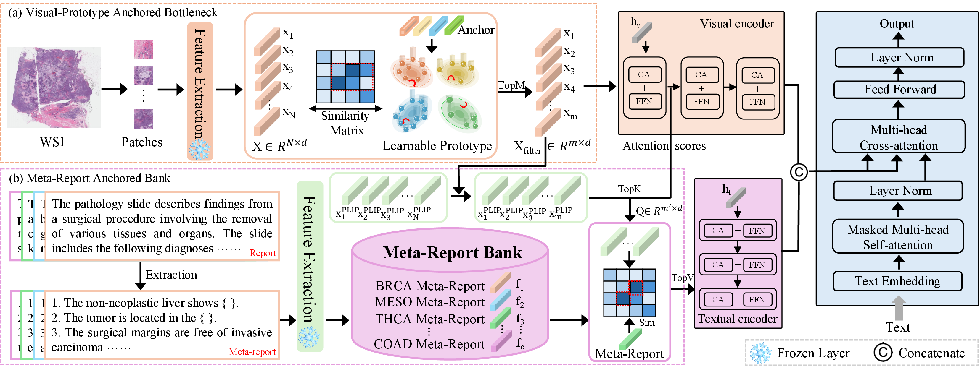 Figure 2: Overview of our proposed model PriOrGen. CA and FFN refer to Cross-Attention and Feed-Forward Network. (a) Visual-Prototype Anchored Bottleneck module. (b) Meta-Report Anchored Bank module.