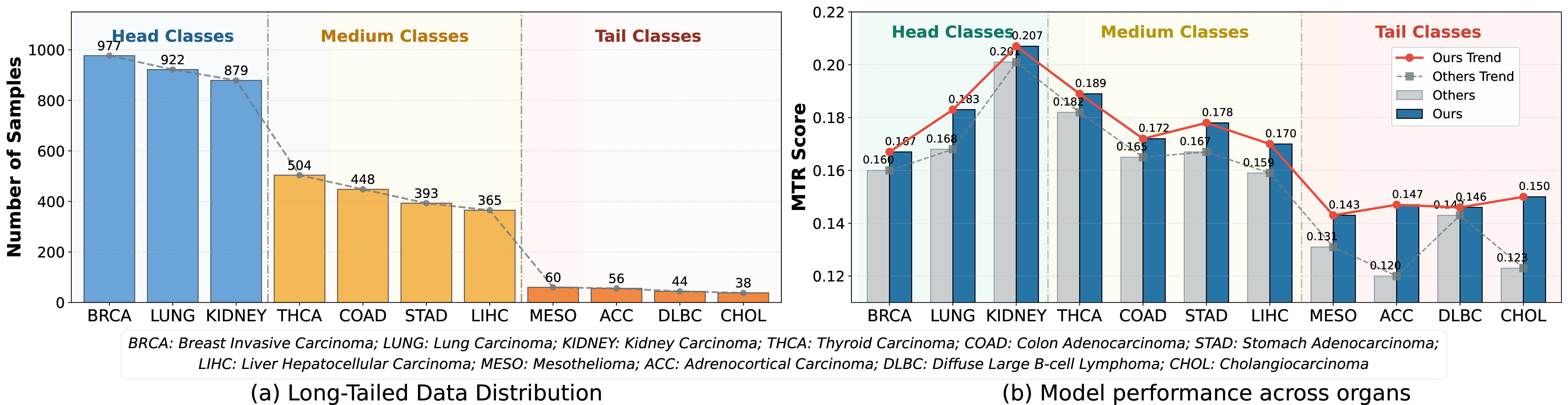 Figure 1: (a) Long-tailed data distribution. The sample count per organ type exhibits a long-tailed distribution grouped into head, medium, and tail classes. (b) Model performance across organs. We compare the MTR score between our method and others.