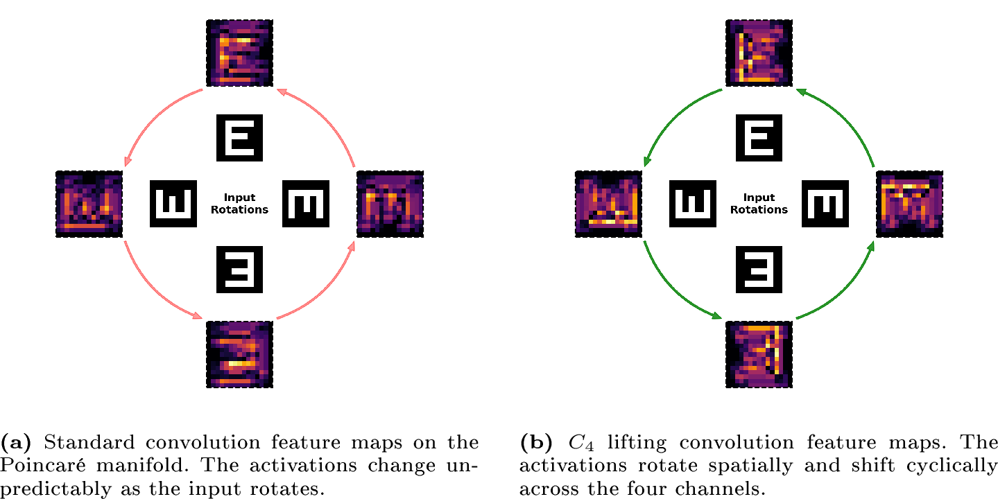 Figure 2: Visualizing C_4 equivariance. Standard convolutions (a) fail to preserve the geometric relationship of the rotated inputs, whereas C_4-equivariant lifting layers (b) predictably rotate and permute the feature maps. Note, visualisations are projected onto the Euclidean plane. Features near the boundary appear distorted due to the Poincaré metric, yet the equivariant channel routing remains invariant to the distortion.