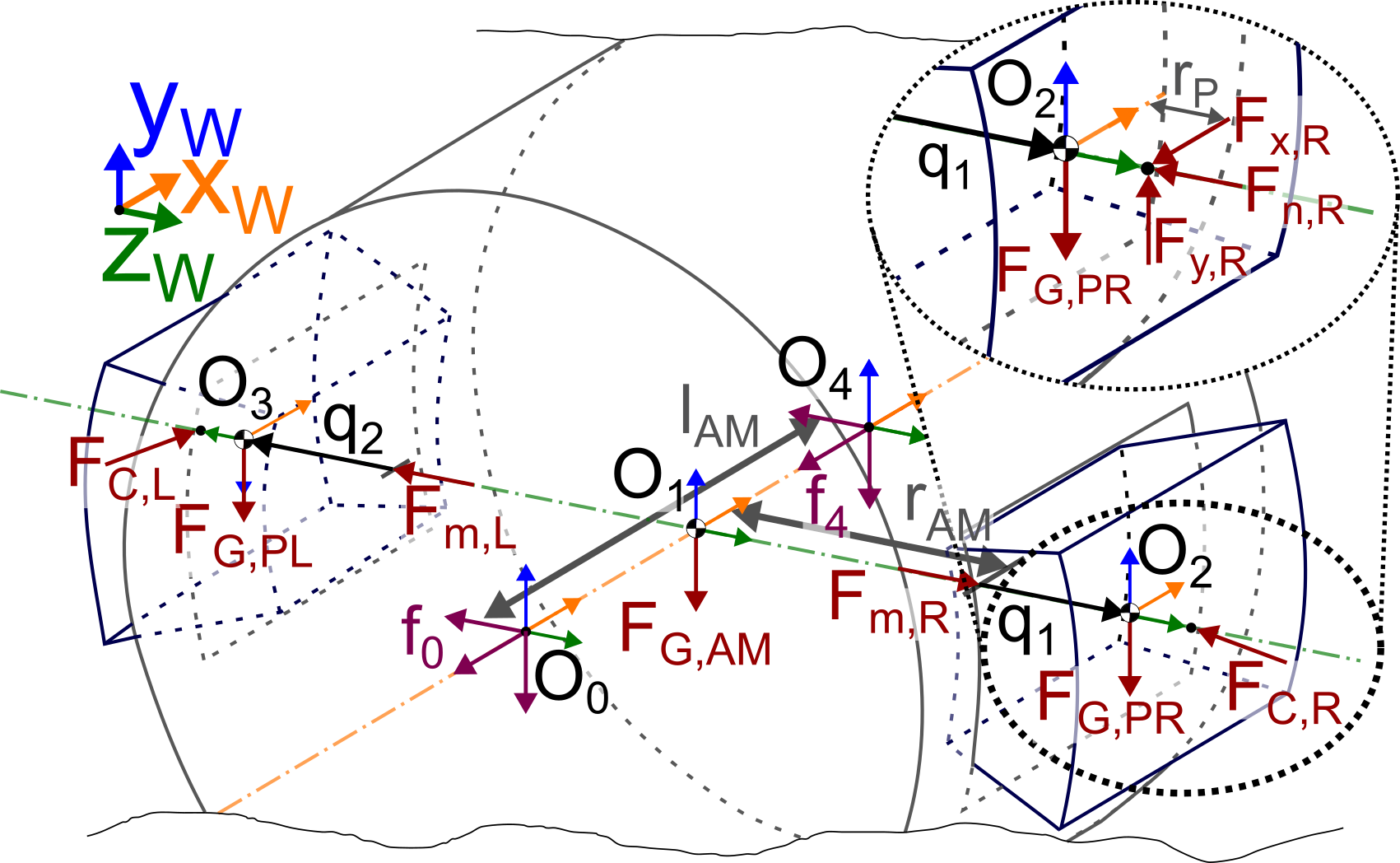 Figure 3: Coordinate systems and forces used to describe the AM
