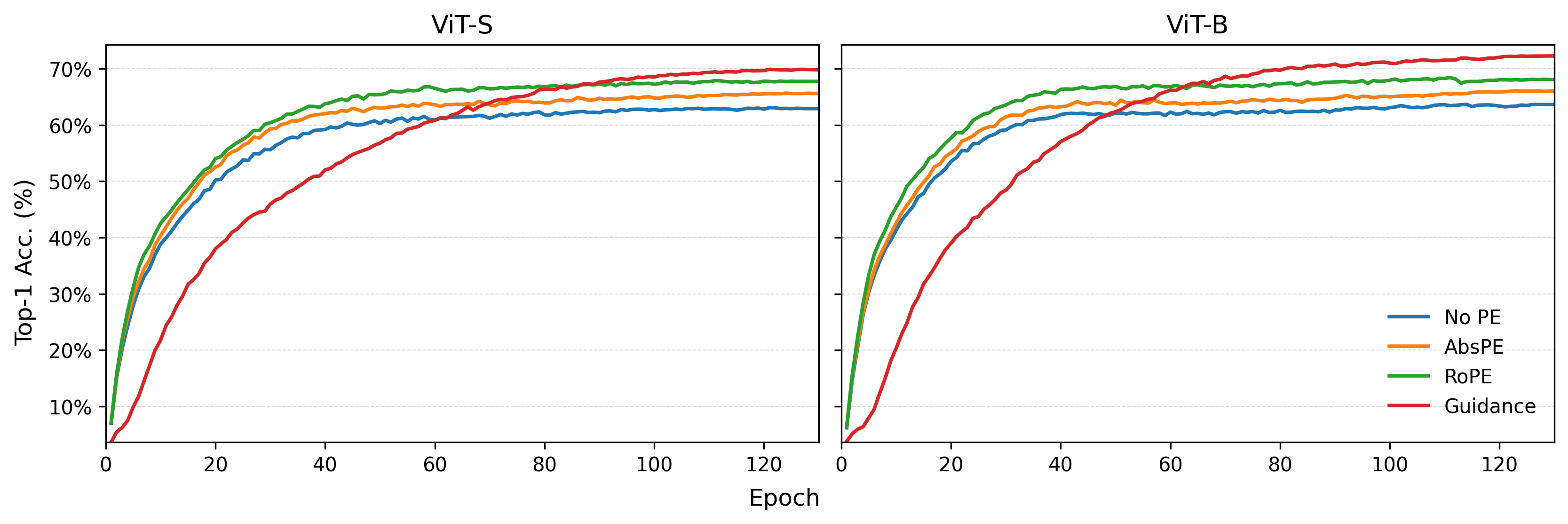Figure 1: Training dynamics on ImageNet-100 with DINOv3 ViT-S and ViT-B trained from scratch for 130 epochs at 224\times224. Curves show validation Top-1 accuracy for a PE-free baseline (No-PE), learned absolute positional embeddings (AbsPE), rotary embeddings (RoPE), and Active Spatial Guidance (Guidance). All settings share the same optimization and augmentation protocol; only the positional strategy differs.
