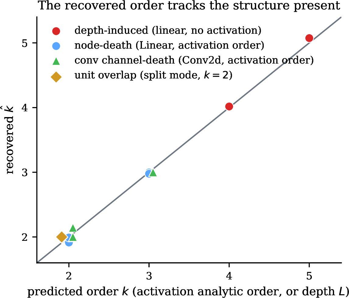 Figure 3: The recovered order tracks the structure present. The predicted order is the activation’s analytic order for a node-death (k{=}3 squared-ReLU, k{=}2 gelu, across d{=}8, d{=}24, and modular multiplication), the depth for a trained linear network (k{=}L, L\in\{3,4,5\}), and again the activation order for a convolutional channel read through a different K-FAC factor. All fall on the diagonal.