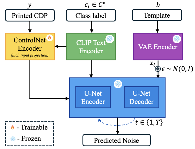 Figure 2: Training architecture. The printed CDP is fed to the ControlNet encoder as a spatial conditioning signal alongside the class prompt via the CLIP text encoder. The VAE encoder maps the binary template to the latent space, where the U-Net denoises under joint conditioning. At each timestep t, the network predicts the added noise \epsilon.