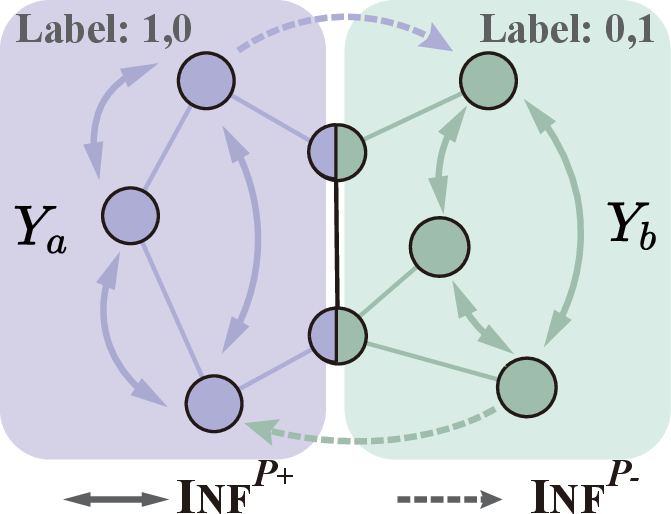 Figure 3: Illustration of the direction of positive and negative influence during P step. The nodes with both colors indicates the ones with both labels.