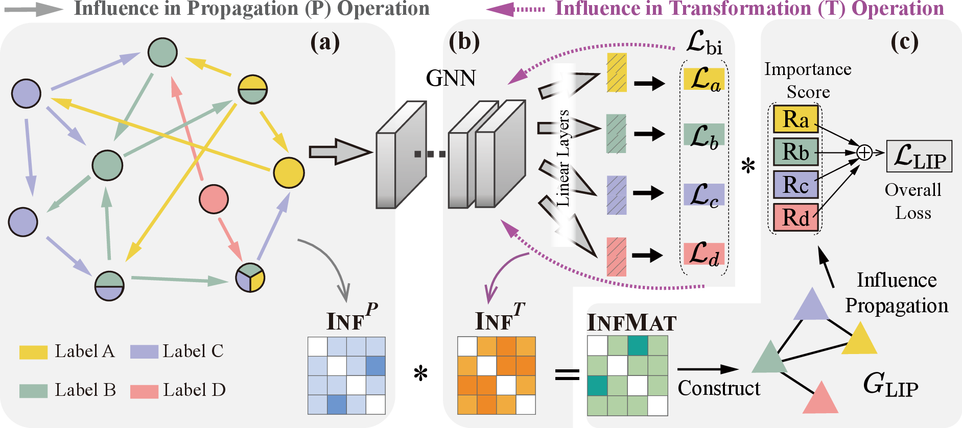 Figure 2: The overall framework of LIP: (a) quantify the influence correlations in P operation (Sec. 4.2) where the arrows with colors represents the mutual influence between labels; (b) quantify the influence correlations in T operation (Sec. 4.3) where \mathcal{L}_{\text{bi}} separately calculates the loss of each label; (c) combine these two influence correlations to get the high-order label influence, and propagate through the constructed graph G_{LIP} to calculate the important score R for each label (Sec. 4.4).