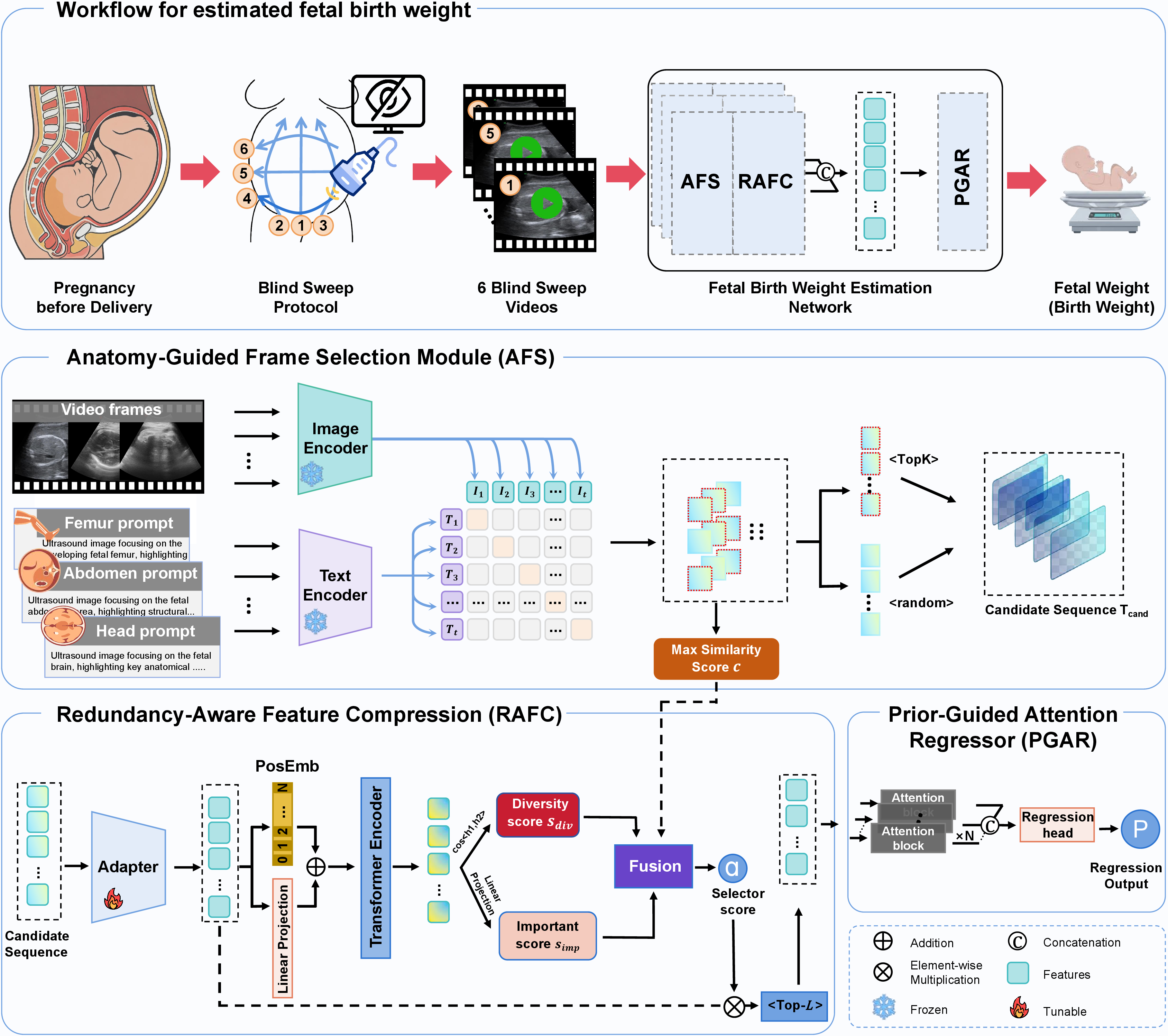 Figure 1: The overview of our proposed framework.