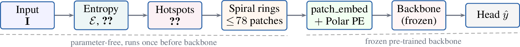 Figure 2: SpiralFovea pipeline. The first four boxes areparameter-free and run once per image before the backbone is touched.The backbone is frozen; only the polar-PE MLP and a linear head aretrained (\approx\!3.1M parameters).