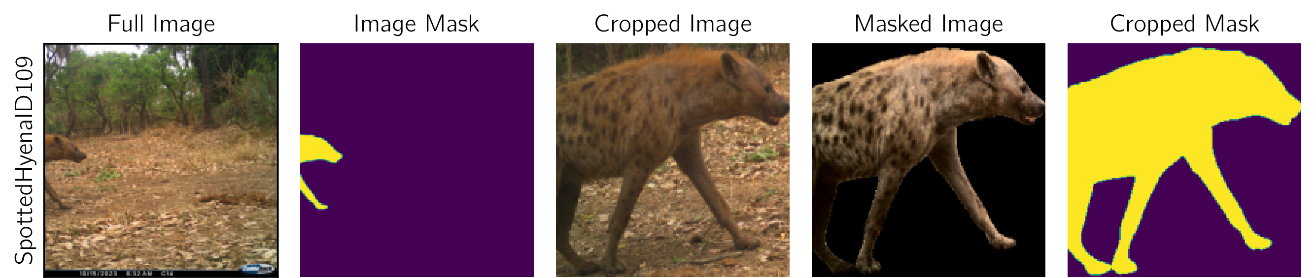 fig: e