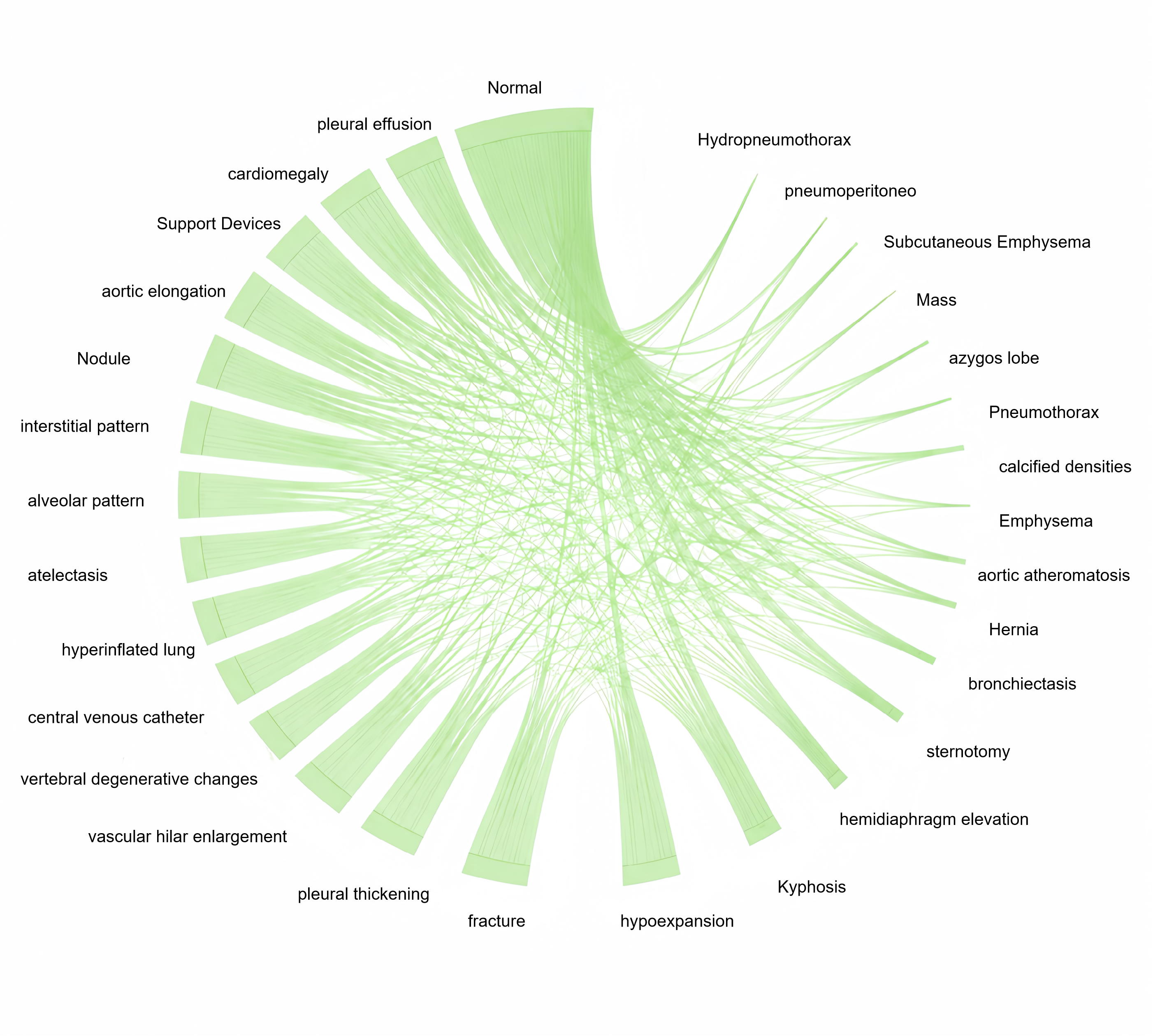 Figure 2: Label Distribution and Co-occurrence Analysis of 30 Classes in the PadChest Dataset