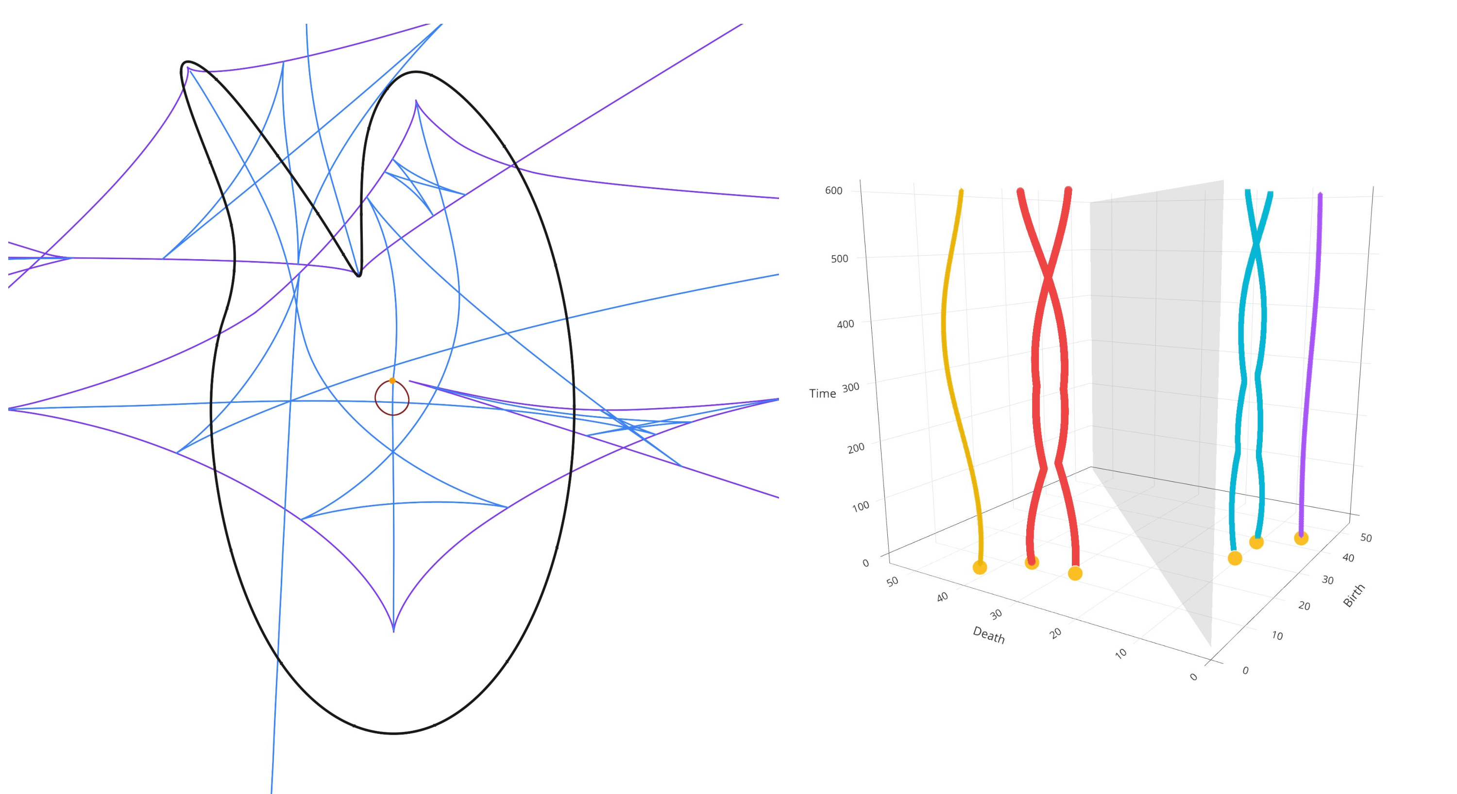 Figure 10: Left: The complete symmetry (blue) and focal (purple) sets for the example where a single singularity of type A_1^2/A_1^2 generates monodromy. Right: The vineyard exhibiting the monodromy. We stress that the red and turquoise vines do not intersect in three dimensions (the intersection is a result of the projection to the two dimensional paper).