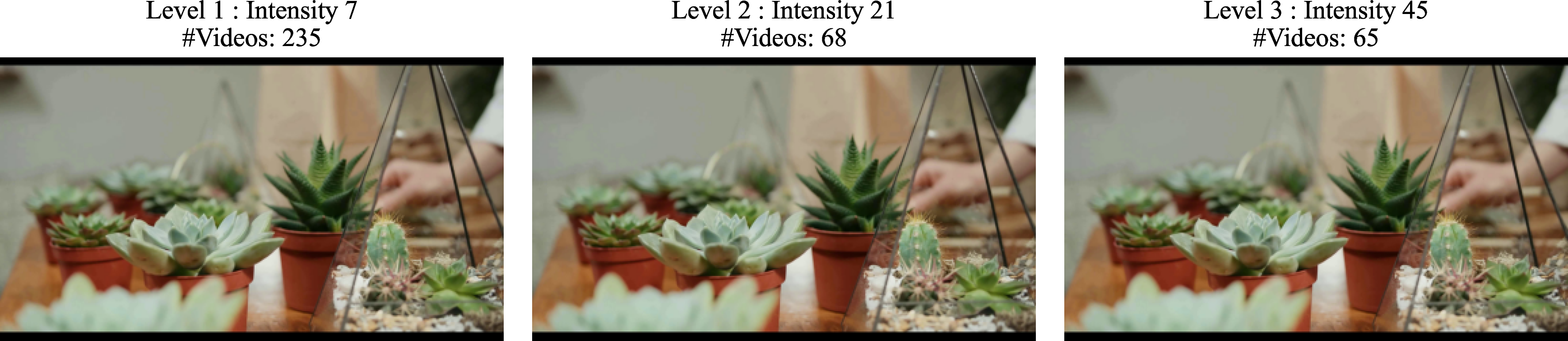 Figure 9: Illustration of Gaussian blur across different intensity levels.