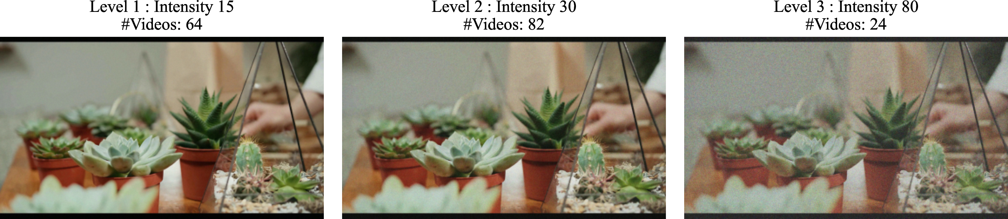 Figure 10: Illustration of Gaussian noise across different intensity levels.