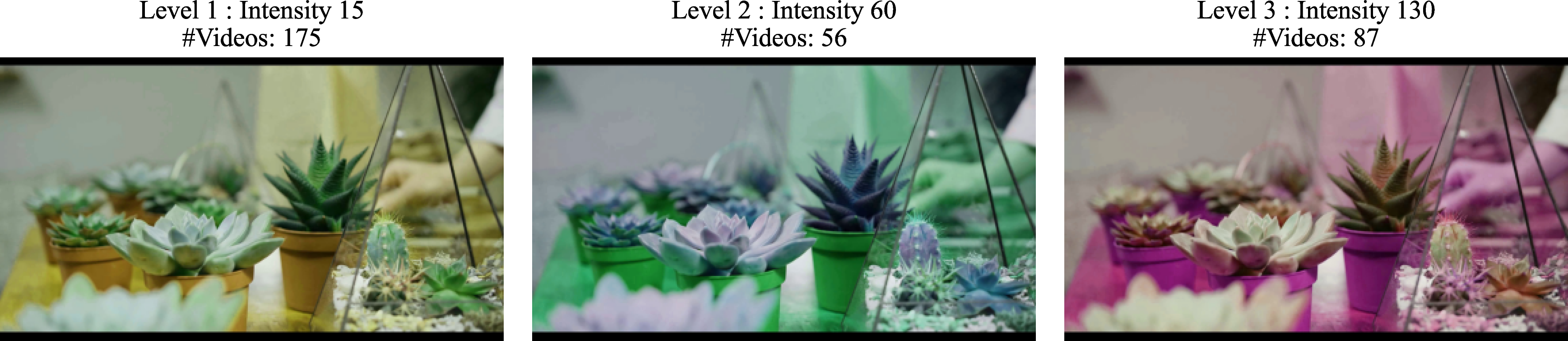 Figure 11: Illustration of hue shift across different intensity levels.