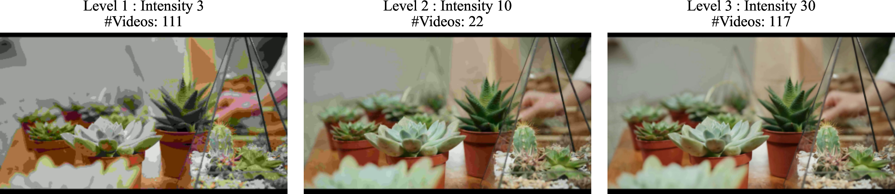 Figure 16: Illustration of JPEG compression across different intensity levels.